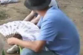 邵东工资清欠服务